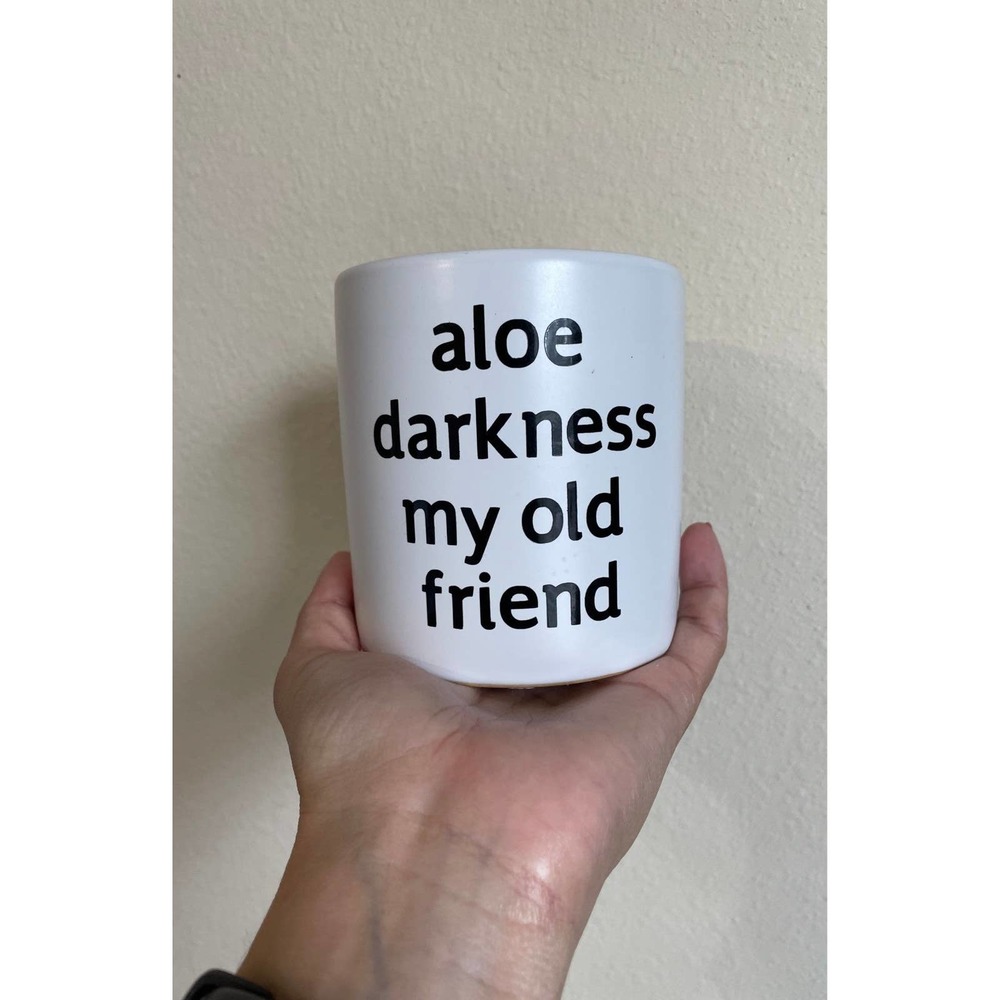 Funny Ceramic Planter with Aloe